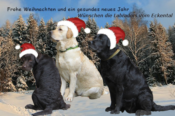 Weihnachstgruesse2015